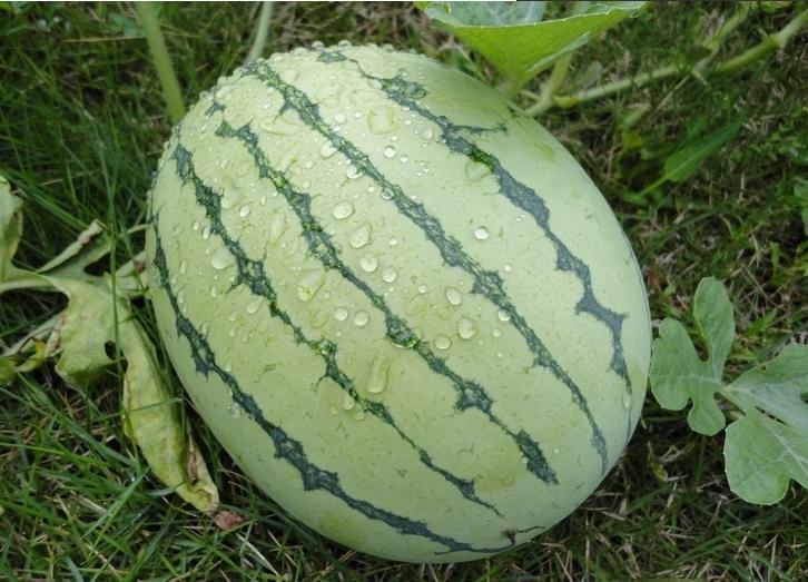 案例風(fēng)采
